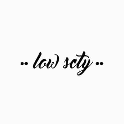 partner-logo-low-scty